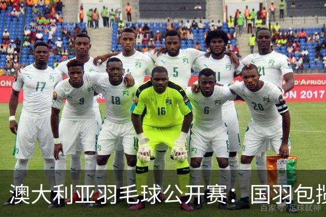 澳大利亚羽毛球公开赛：国羽包揽双打三项冠军